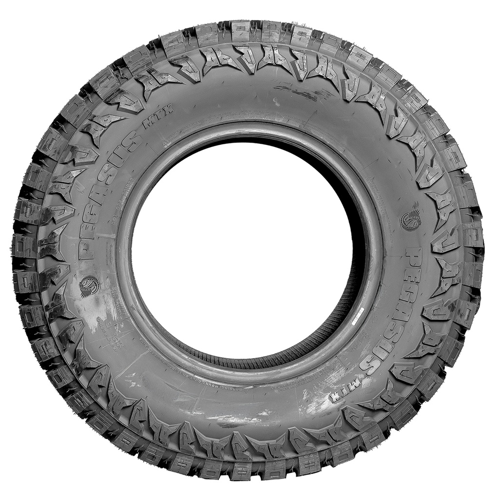Llanta P 275/70 R18 125/122Q Pegasus MTX 10C