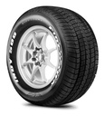 [2955015FSFIREHAWKINDY500P] Llanta P 295/50 R15 105S A A Firestone Firehawk Indy 500